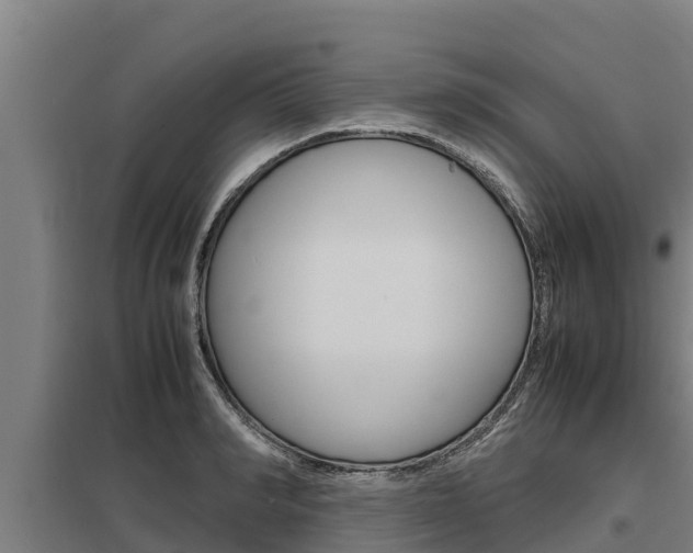 X0000098040990200803280750