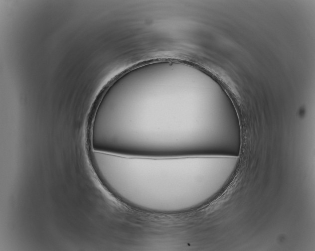 X0000098040991200803280750