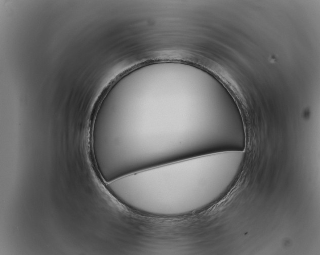 X0000098040992200803280750