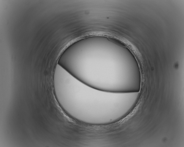 X0000098040993200803280750