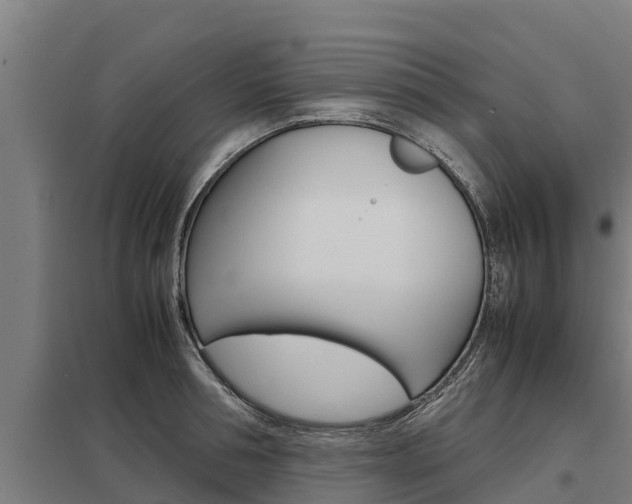 X0000098040994200803280750