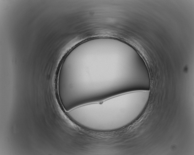 X0000098040995200803280750