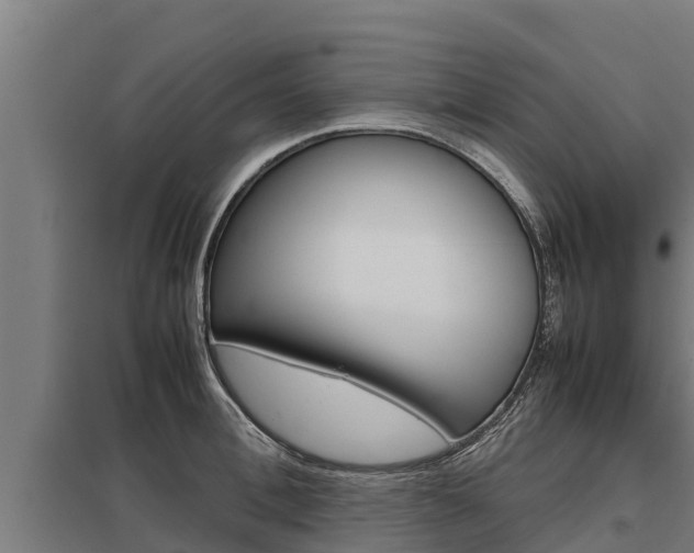 X0000098040996200803280750