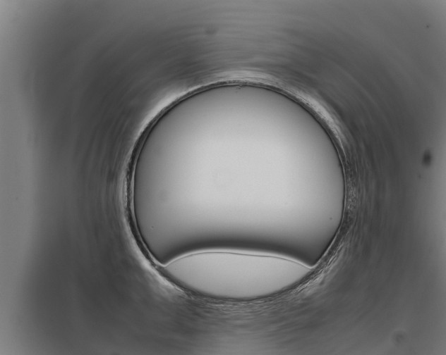 X0000098040999200803280750