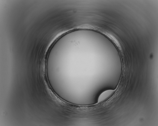 X0000098041000200803280750