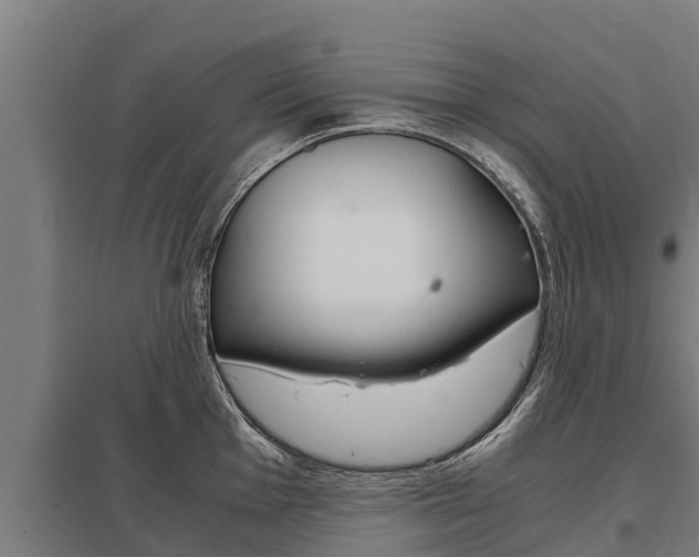 X0000098041001200803280750