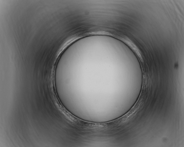X0000098041002200803280750