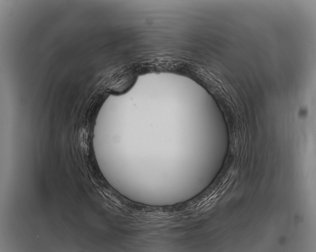 X0000098041010200803280749