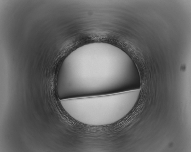 X0000098041012200803280749