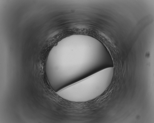 X0000098041013200803280749