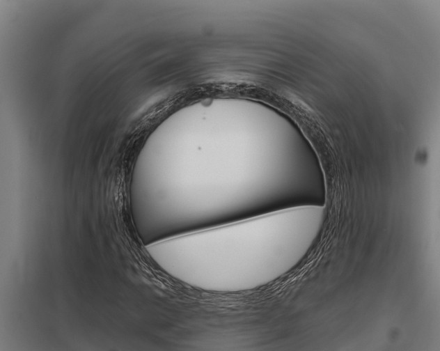 X0000098041014200803280749