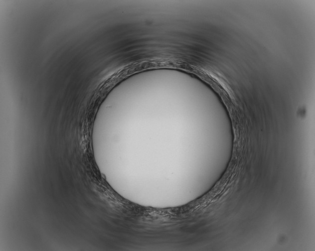 X0000098041015200803280749