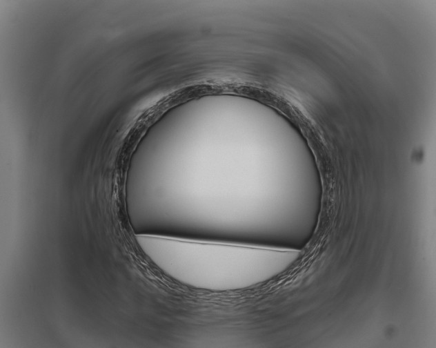 X0000098041016200803280749