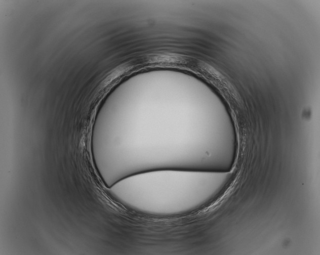 X0000098041017200803280749