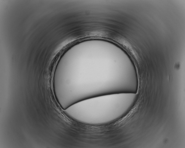 X0000098041019200803280749