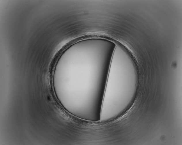 X0000098041022200803280749