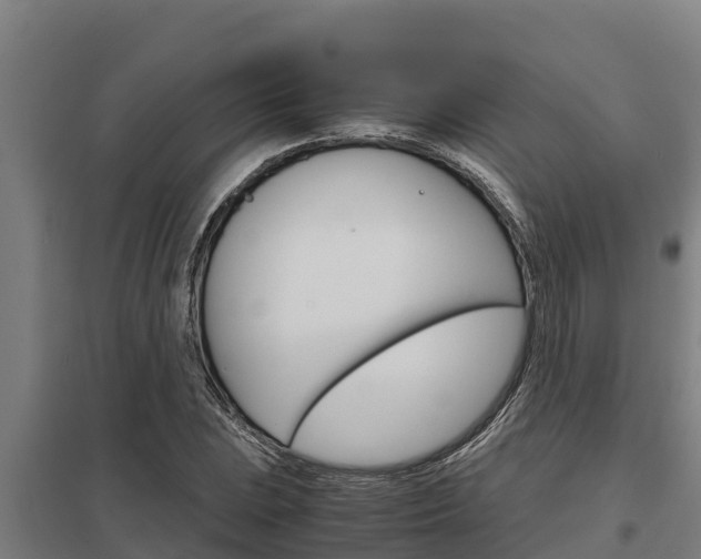 X0000098041023200803280749