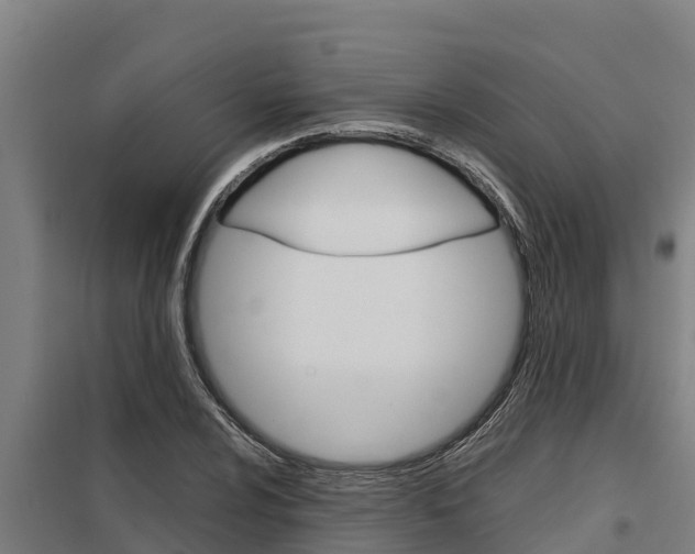 X0000098041024200803280749