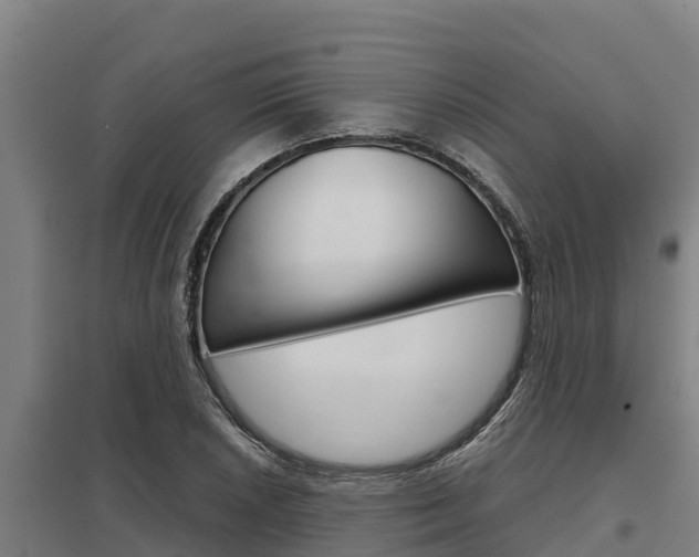 X0000098041026200803280749
