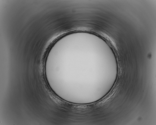 X0000098041027200803280749