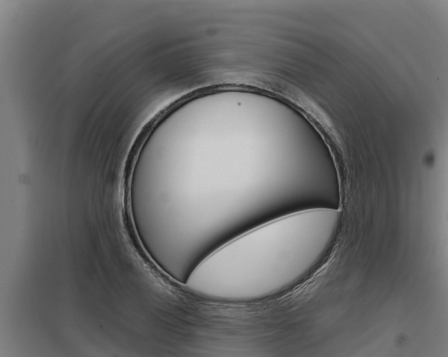 X0000098041028200803280749