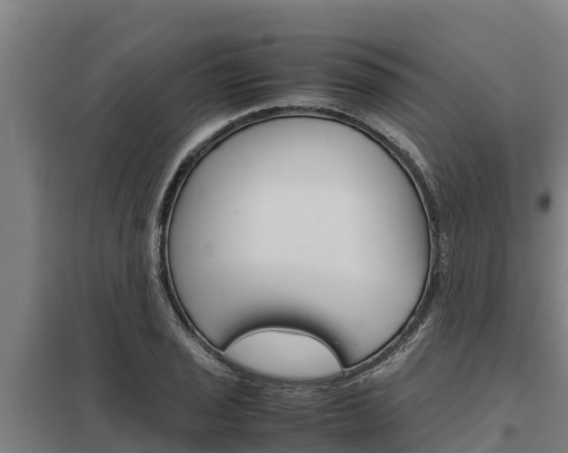 X0000098041029200803280749