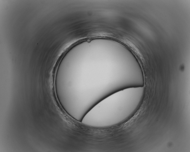 X0000098041031200803280749