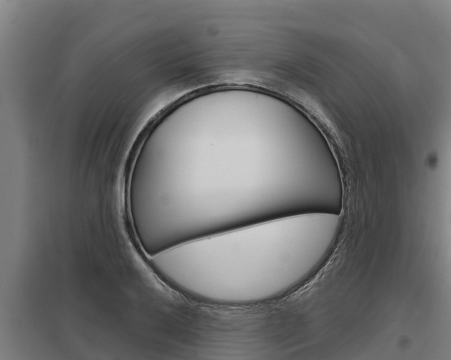 X0000098041032200803280750