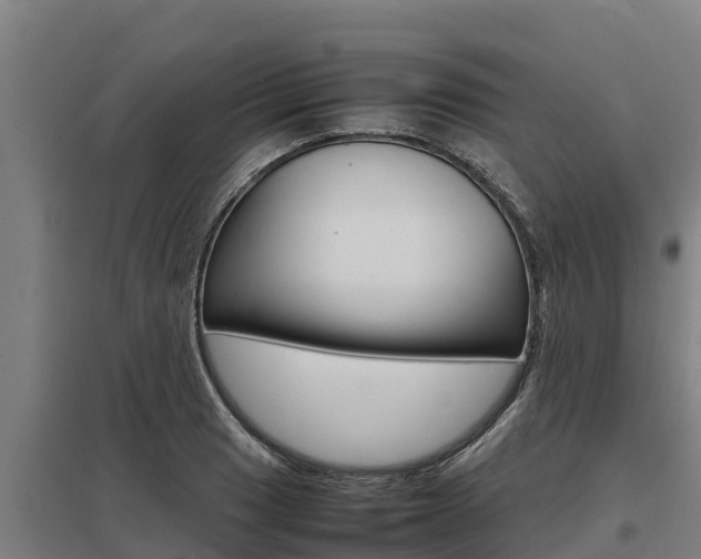 X0000098041033200803280750