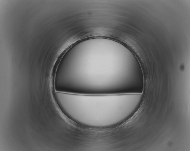 X0000098041034200803280750