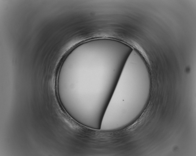 X0000098041035200803280750
