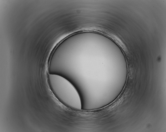 X0000098041036200803280750