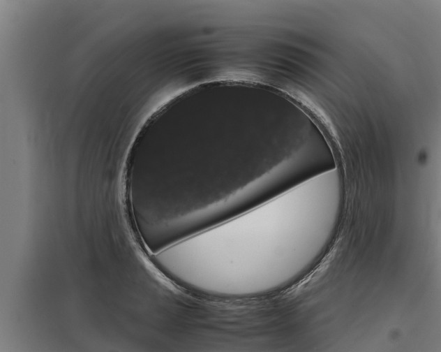 X0000098041037200803280750