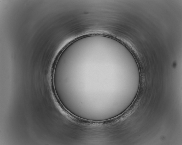 X0000098041038200803280750