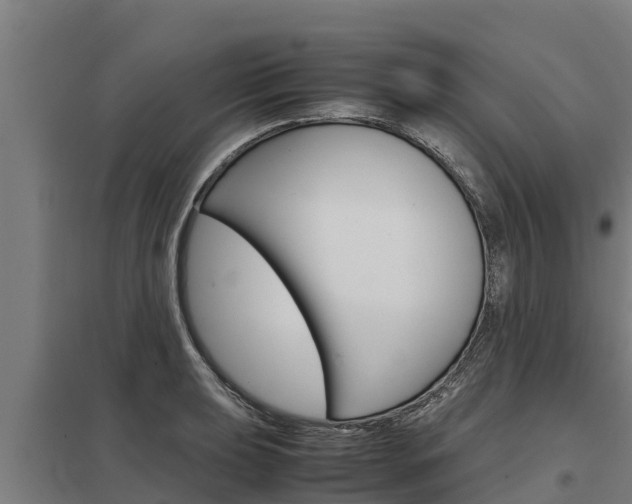 X0000098041039200803280750