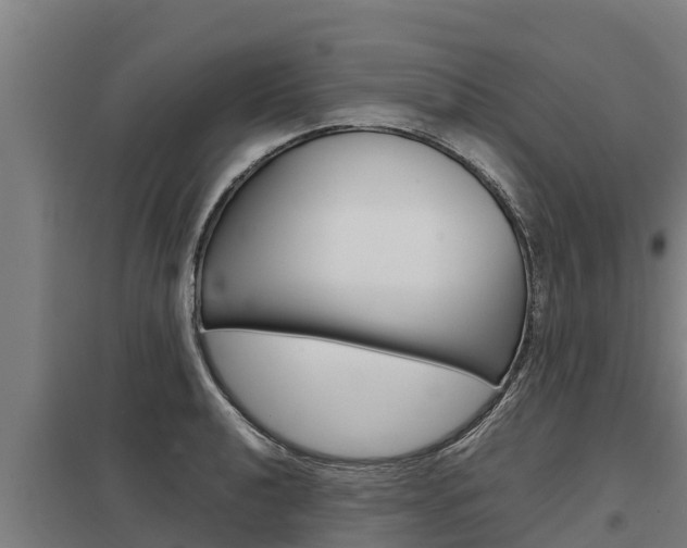 X0000098041040200803280750
