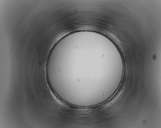 X0000098041041200803280750