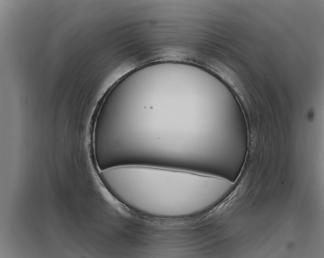 X0000098041042200803280750