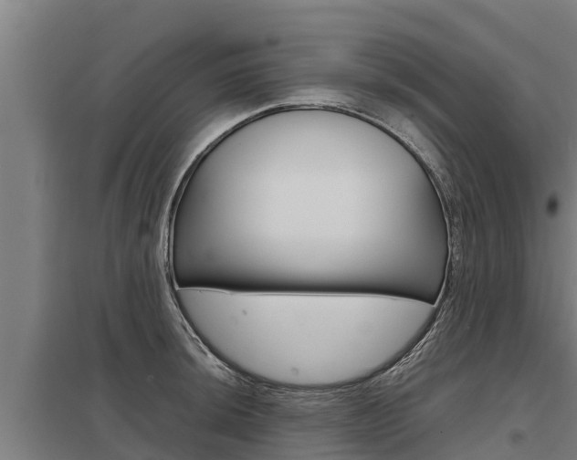 X0000098041044200803280750