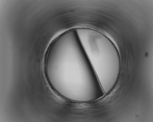 X0000098041045200803280750