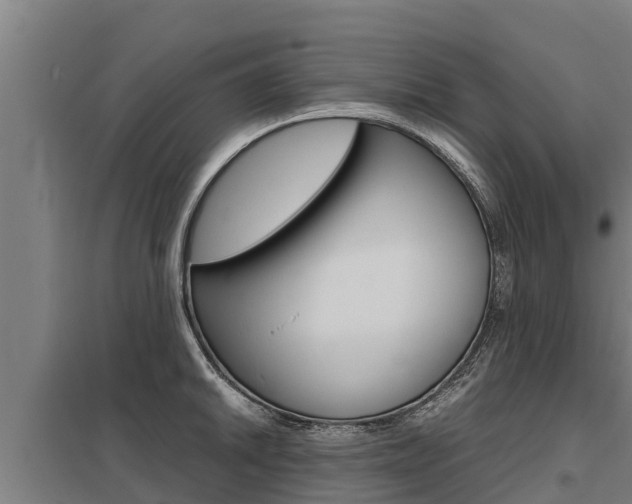X0000098041046200803280750