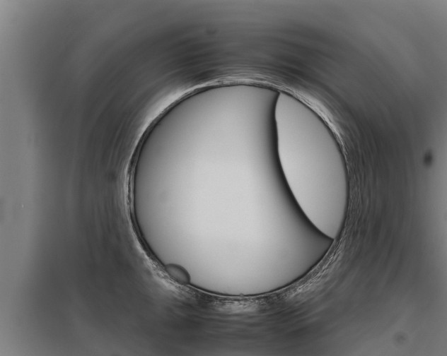 X0000098041047200803280750
