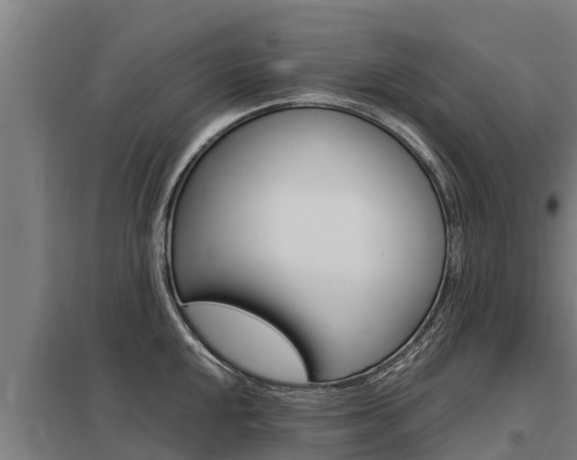 X0000098041048200803280750