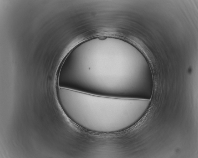 X0000098041050200803280750