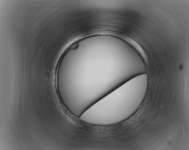 X0000098041051200803280750