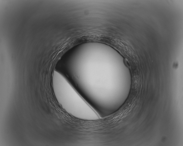 X0000098041057200803280749