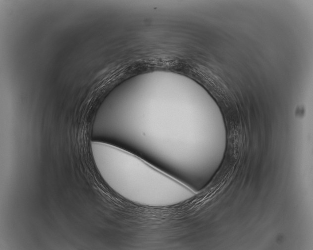 X0000098041058200803280749