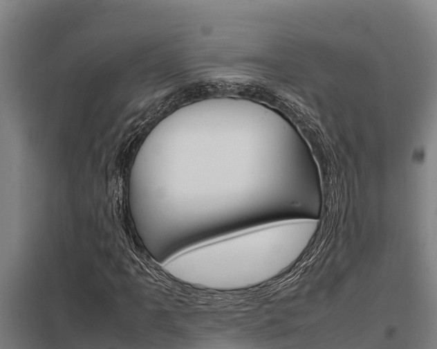 X0000098041061200803280749