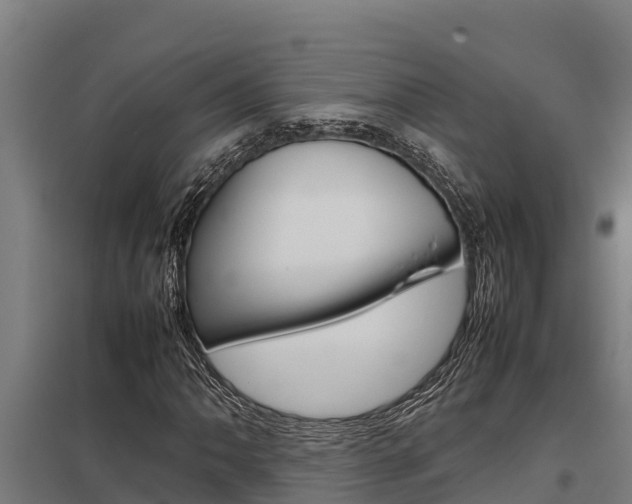 X0000098041062200803280749