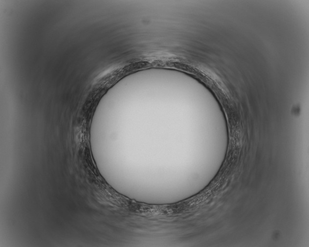 X0000098041063200803280749